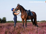 Hilde-Dokter-Paardenfotografie-Portretfotos-10