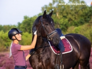 Hilde-Dokter-Paardenfotografie-Portretfotos-11