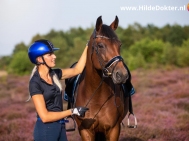 Hilde-Dokter-Paardenfotografie-Portretfotos-15