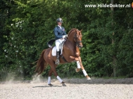 Hilde-Dokter-Paardenfotografie-Rijfotos-10