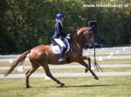 Hilde-Dokter-Paardenfotografie-Rijfotos-11