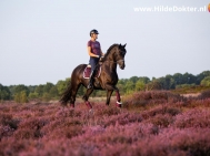 Hilde-Dokter-Paardenfotografie-Rijfotos-12