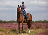 Hilde-Dokter-Paardenfotografie-Rijfotos-14