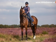 Hilde-Dokter-Paardenfotografie-Rijfotos-14