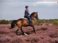 Hilde-Dokter-Paardenfotografie-Rijfotos-15