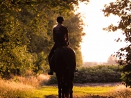 Hilde-Dokter-Paardenfotografie-Rijfotos-17