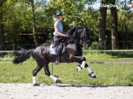 Hilde-Dokter-Paardenfotografie-Rijfotos-18