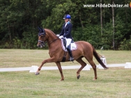 Hilde-Dokter-Paardenfotografie-Rijfotos-19