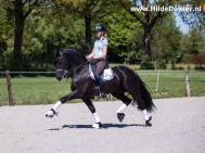 Hilde-Dokter-Paardenfotografie-Rijfotos-4