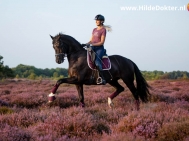 Hilde-Dokter-Paardenfotografie-Rijfotos-5