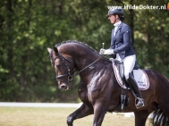 Hilde-Dokter-Paardenfotografie-Rijfotos-9